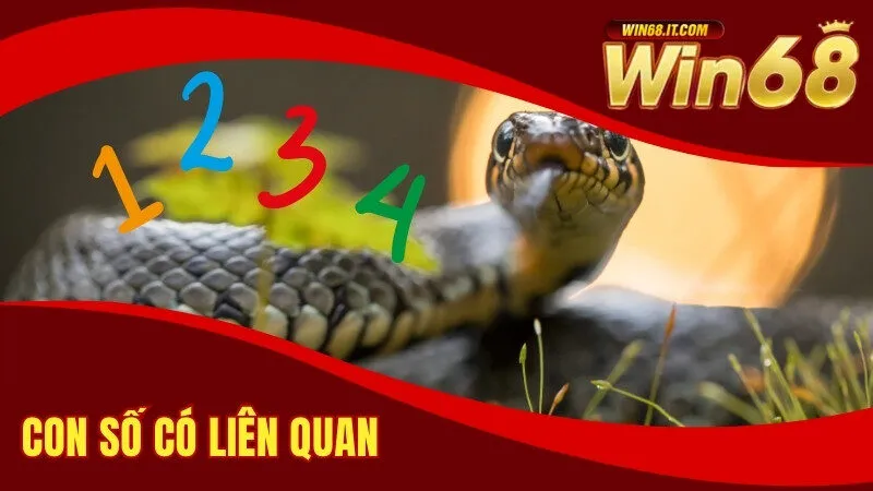 Ngủ Mơ Thấy Rắn Tốt Hay Dữ? Các Con Số Đẹp Khi Chơi Lô 4 Con số có liên quan